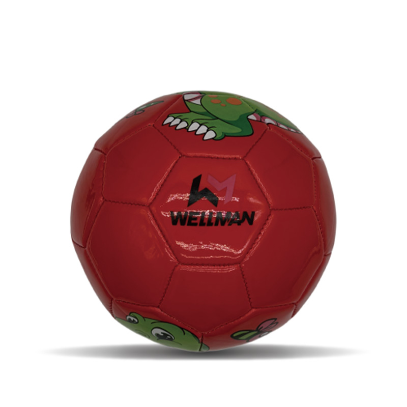 Balón de Fútbol Mini PVC Cosido a Máquina Tamaño 2 para Niñas, Niños y Jóvenes