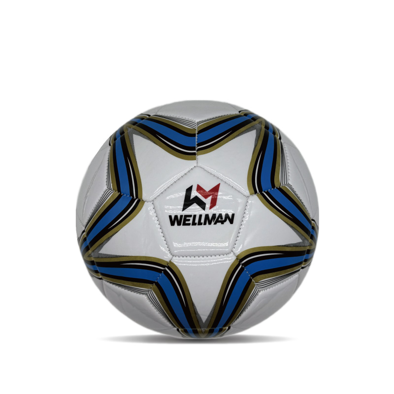 Balón de Fútbol de PVC Duradero Tamaño 4 para Entrenamiento con Logo Impreso, para Niños y Adultos