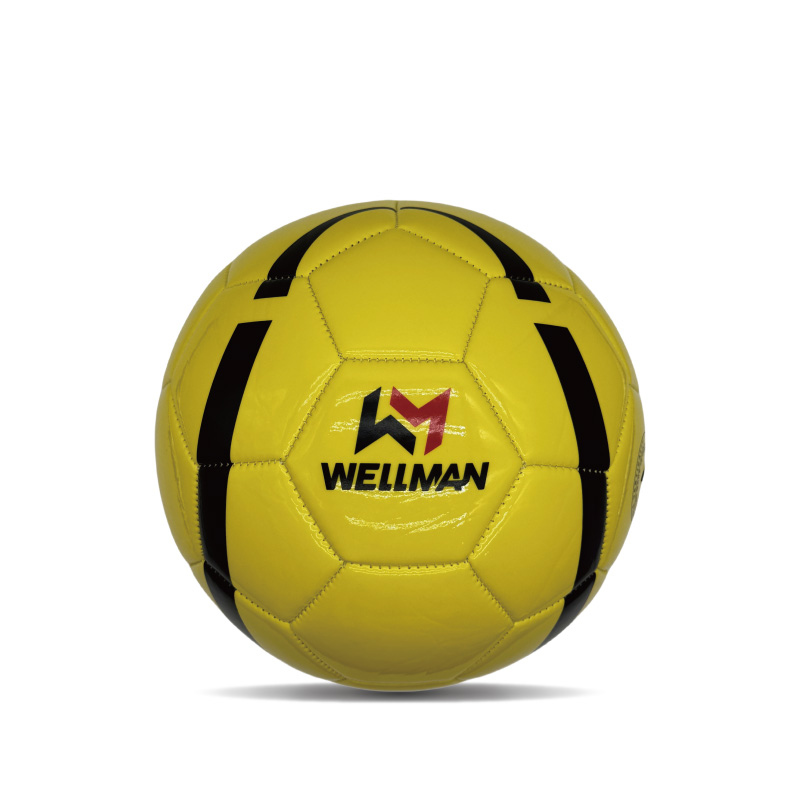 Balón de Fútbol de PVC Duradero Tamaño 4 para Entrenamiento con Logo Impreso, para Niños y Adultos